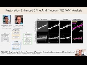 Automated Analysis of Dendritic Spines using Deep Learning with RESPAN