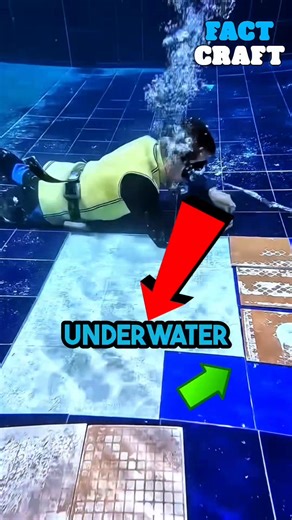 He perfectly tiled the floor underwater! 🌊🧱😲 | Talking Parrot