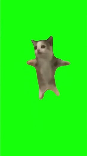 Happy Happy Happy Cat | Green Screen