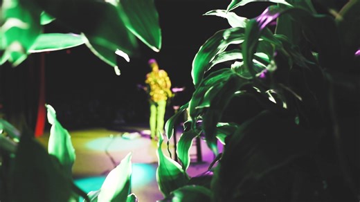 149K views · 1.4K reactions | America’s Band, The Beach Boys, are bringing their Sounds of Summer tour to Timber Rock Amphitheater on Friday, May 30th! Tickets available now. | The Beach Boys | Facebook