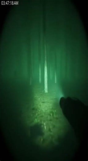 Cop Chases Alien in Deep Woods 👽🚨