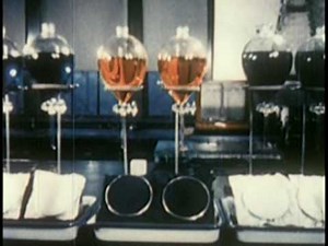 One Man One Jar (a song based on the internet hit video)