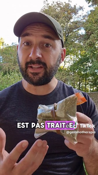 la bactérie helicobacter pylori beaucoup de personnes sont touchées sans le savoir. ça peut être la cause première de plein de pathologie que tu te doutes pas. #bacterie #helicobacter #estomac #origan #sante