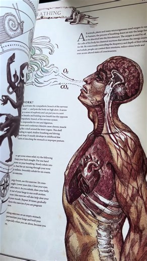 دليل شامل لإعادة بناء حضارة - خصم محدود!