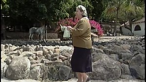 La otra (2002) - Capítulo 32