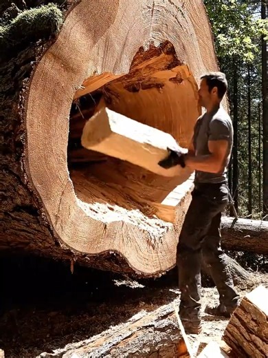 Creative Tree Design Ideas for Woodworkers
