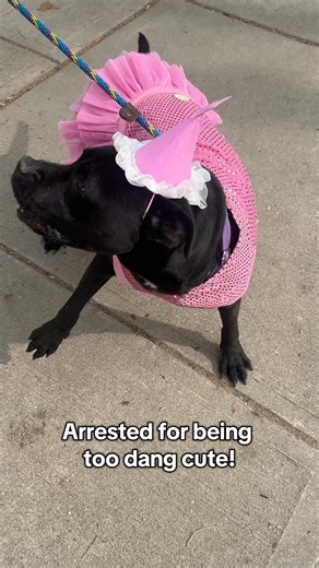 6.3K views · 225 reactions | Bernadette’s been detained… for being...