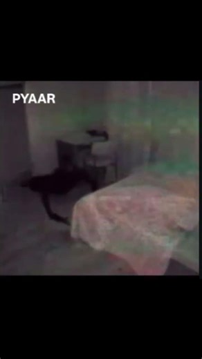 it's js the bgm 🫢 #edit #capcut #8millionviews #ghoststories