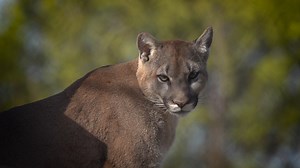 3.7K views · 280 reactions | With warm weather and blooming flowers...