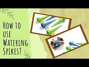 How to use Watering Spikes