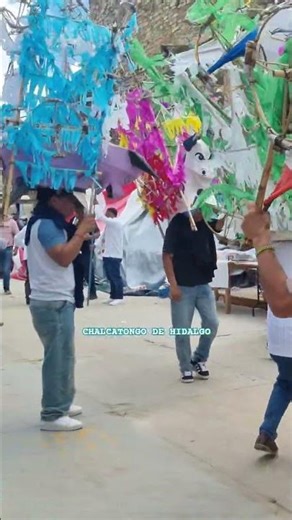 The bulls present at the Chalcatongo 2025 festival calendrà #fyp #mx #fiesta