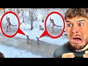 16 GRUSELIGE Kreaturen, die mit Kamera eingefangen wurden