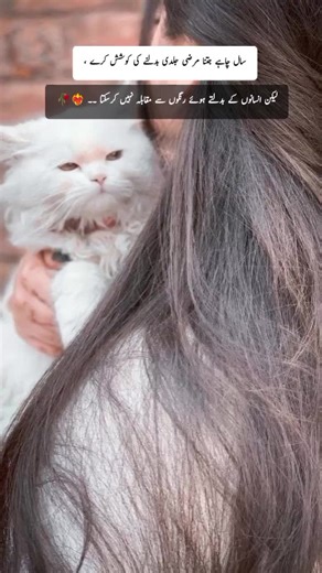 Navigating the Challenges of Account Freezing