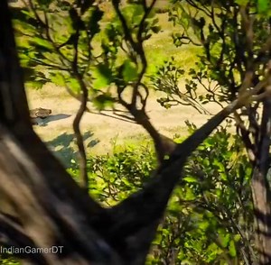 619K views · 1.4K reactions | Deer impossible escape from crocodile | Indian Gamer DT | Facebook