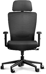 ErgoChair Pro Ergonomic Office Chair, Swivel Computer Chair, Home Office Desk Chairs， with Lumbar Support/2D Headrest/300lbs Heavy Duty/Lockable Back,Comfy Foam Seat Cushion,Black