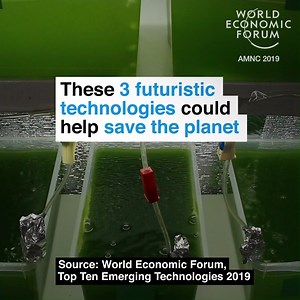679K views · 1.2K reactions | Simple solutions to a complex problem.  Read more: https://wef.ch/2J5XjuA | World Economic Forum | Facebook