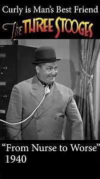 The THREE STOOGES - Mans Best Friend