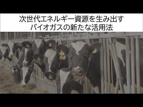 New ways to use biogas to create next-generation energy resources