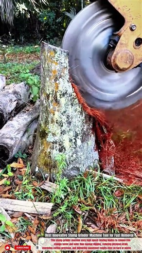 Best Innovative Stump Grinder Machine Tool for Fast Removal #innovation #innovative#shorts