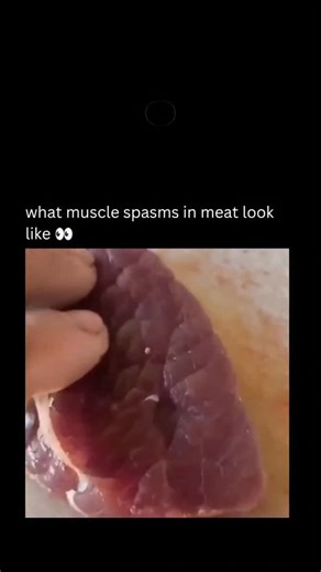 How Things Look on Instagram: "A video of a raw cut of meat twitching has gone viral online, causing a stir among social media users, with many questioning the meat's safety and some even vowing to go vegan. The unsettling footage shows the beef pulsating vigorously on a cutting surface. Experts quickly clarified the phenomenon is a normal physiological reaction in extremely fresh meat and not a sign of spoilage or parasitic infection. Science Explains Postmortem Muscle Activity According to foo