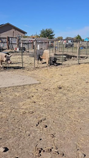 46 reactions · 6 comments | By hosting Sanctuary Sunset & Sushi we...