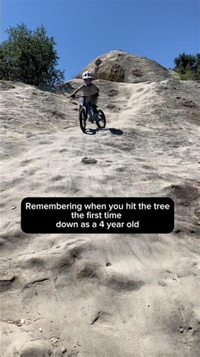 Remember when I hit that tree?😵‍💫