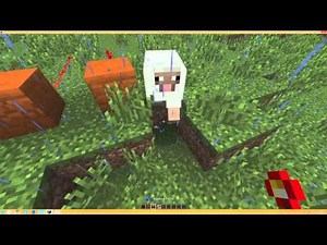 How to get creative mode on ALMOST any Minecraft Server(1.8-1.8.1)(Glitch)
