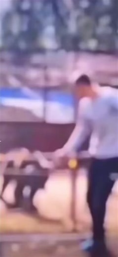 これから大喜利の動画を上げていこうと思います。皆さん気軽に面白いコメントをよろしくお願いします。僕を笑顔にしてくれる人を待ってます。#大喜利名人集まれ #コメントください