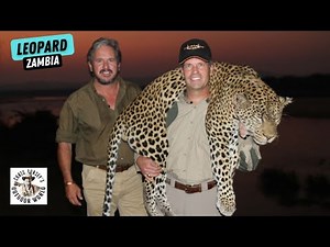 Epic Leopard Hunt in Zambia