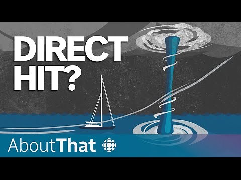 How the Bayesian superyacht sank in minutes | About That