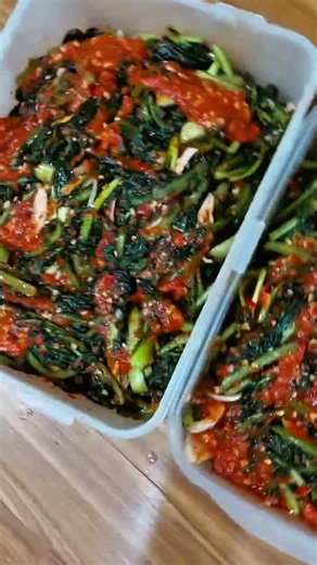 ✨️Making Kimchi at Home | How to Make Delicious Yeolmu-kimchi and Napa Cabbage Kimchi