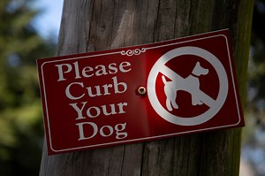 NYC’s poop problem: Dog waste is a major quality-of-life issue across 5 boroughs, report says