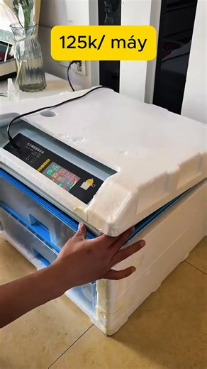 Ấp đều tay thì con giống khỏe mạnh #mayaptrungtudong #aptrungdeu #nuoivit | Kermode Lance Robertson