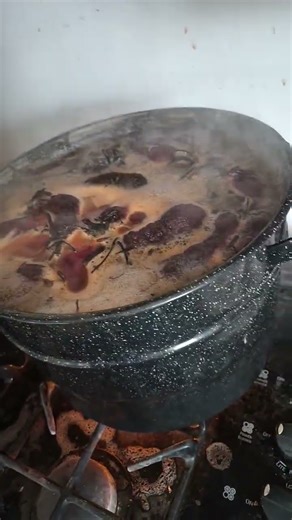 Best call me Kermit the way I'm sewer sliding in your hotline