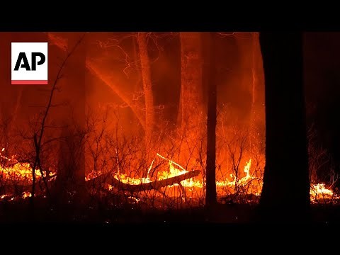 New Jersey forest fire prompts evacuations and closes a major highway
