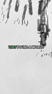 1M views · 10K reactions | The ‘Holy Grail of Military Aviation’ - Found After 68 Years In the Jungle | War History Online | Facebook