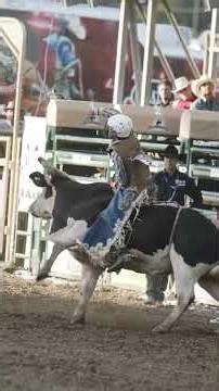BULLRIDING!