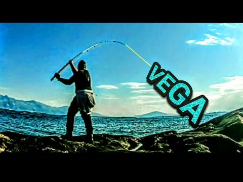 Shore fishing on Vega!
