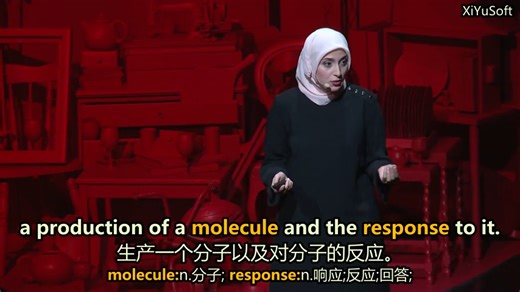 【TED演讲】让我们来谈谈细菌的秘密语言！
