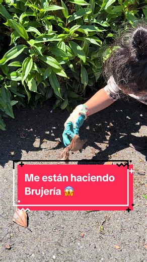 Brujería: qué hacer si crees que te están haciendo brujería