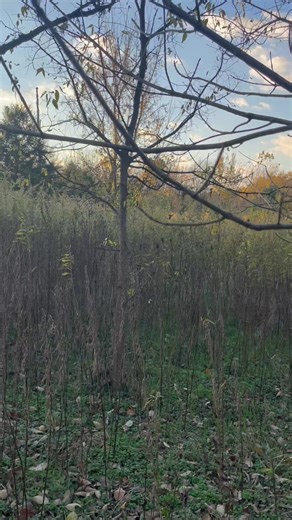 Lil solo time with Jett | Aaron Daugherty