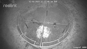 12K views · 141 reactions | #1646 Just another single boar slipping up | Thermal Solutions Hog Control | Facebook