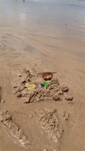 I TOOK GONGON TO THE BEACH!