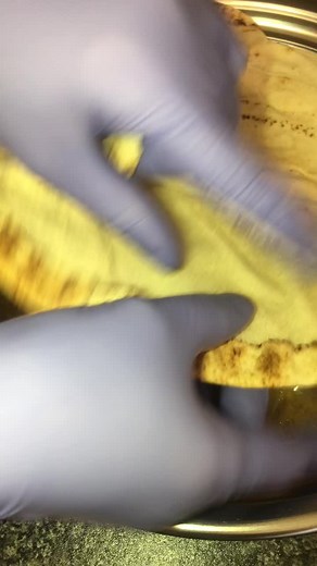 acil acıktmi careler tükenmez sogan ekmek benim bal sizin olsun -spring onions and cheese wrap 🤤#weekend #saturday #easyrecipe