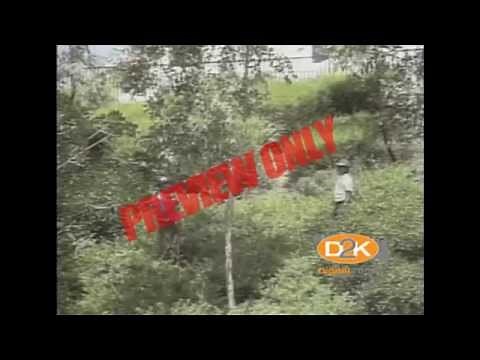 Landscaper Safety Training Video from SafetyVideos.com