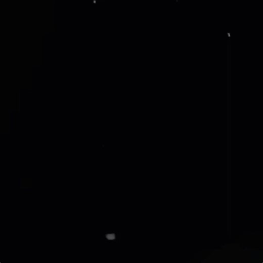 Con flores te llevaste mi tristeza: Un homenaje musical