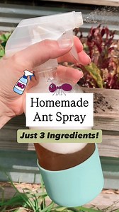Buh-bye Bugs!! ❌🐜❌ I’ve been using this homemade ant spray for 10 years now because it’s easy to make, safe to use in a house with kids & pets, and it WORKS! #homehacks #diycleaningproducts #KitchenHacks | The Soccer Mom Blog - Positive Inspiration for Moms