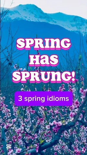 3 Spring idioms