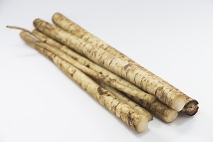 ごぼうの冷凍保存方法と解凍レシピを解説！保存期間や解凍のコツも！ | お食事ウェブマガジン「グルメノート」