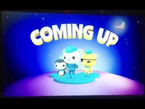 Disney Junior octonauts coming up nighttime